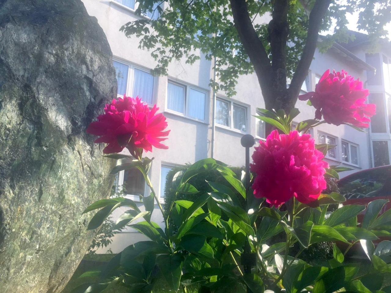 Turm Hotel Hanau Екстер'єр фото